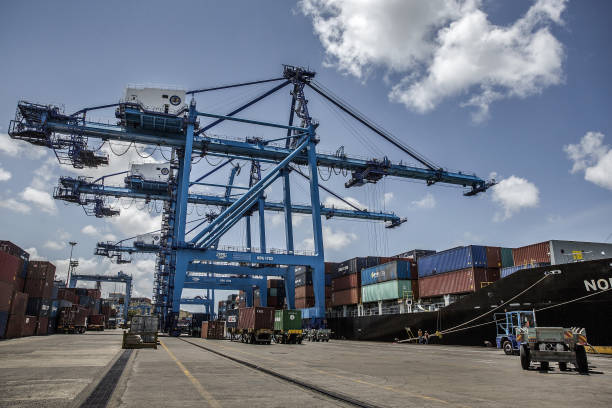 TransportPro Truck Fleet